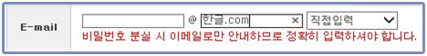 이메일 도메인 직접입력 예시